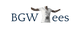 BGW Tees